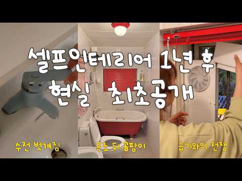 EP.53 구옥 화장실 셀프인테리어 1년 솔직후기🔥그리고 보수 방법💪🏻 간이 환풍기 설치와 화장실 대청소를 곁들인,,🫧 컬러수전 만들기 | 낡은주택고쳐살기