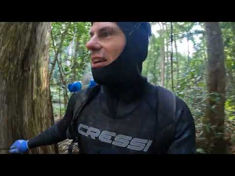 The FORESTS of QUEENSLAND are hiding RICHES NEVER DISCOVERED!!!