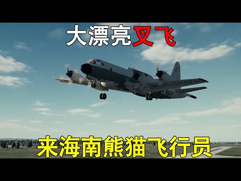 EP-3为何撞机？王伟不躲的秘密任务曝光！一架雷达引发的大国空中格斗！EP-3 Incident DECODED The Secret Radar, Wang Wei's FINAL Mission