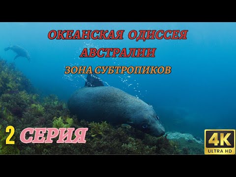 Мир Дикой Природы. Австралия и Океания. Документальный Фильм 4K. 2 серия из 3