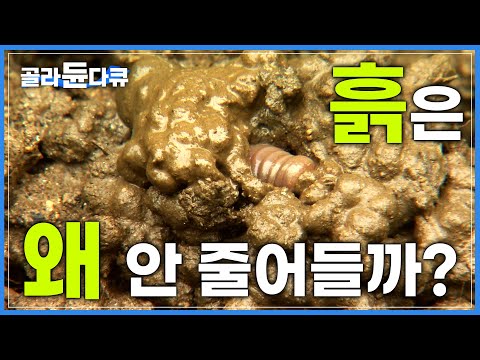 흙 한 줌에 '1억'의 생명체가 살아있다│사람의 눈으로는 볼 수 없는 작은 우주 '흙'의 모든 것│다큐프라임│#골라듄다큐