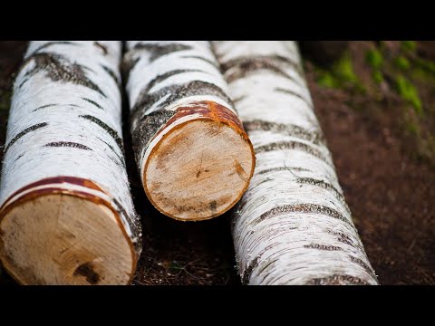 А Whiskey Barrel from an Birch Log DIY | How to make a wooden barrel with your own hands