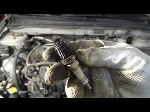 Wet Spark Plugs. What is wrong in my Engine? Look my comments and answers.