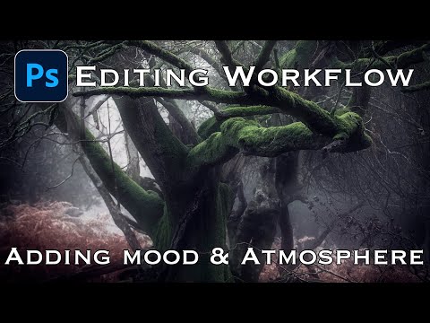 Photoshop tutorial for Woodland Photography. Add Mood and Atmosphere to your Images.