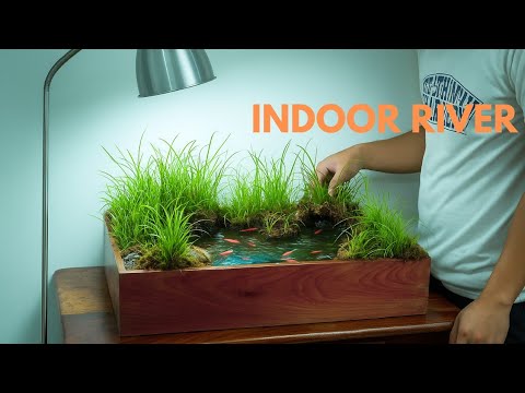 I Made An Indoor River for Tiny Fish | here's how! 