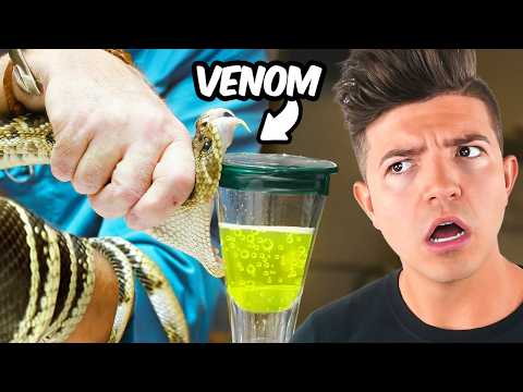 *STRANGEST* Jobs You Can ACTUALLY Get!