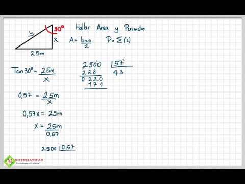 area y perimetro triangulo razones trigonometricas