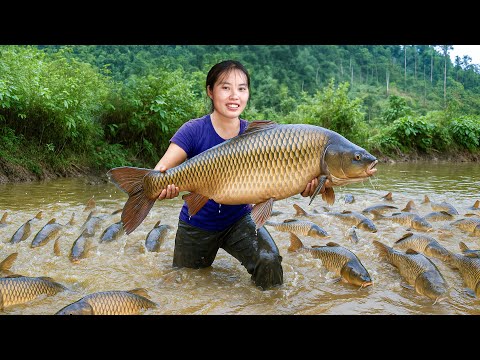 Catching a Huge Natural River School of Fish with My Kids | Selling Fresh Fish at the Village Market