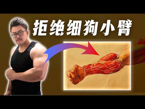 【全网最详细】一口气讲完如何增粗小臂｜含训练计划｜运动学博士的解析
