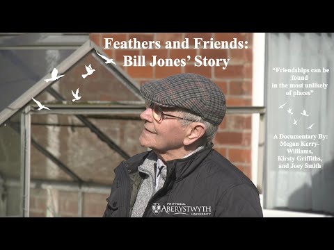 Feathers and Friends