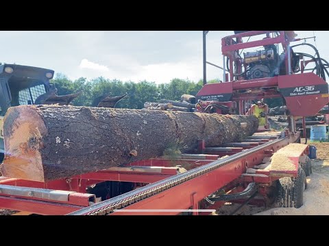 Many 2”x4”s Come From This Hefty Pine Log