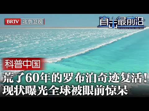荒了60年的罗布泊奇迹复活！中国竟在盐碱地种出2万平米绿洲，现状曝光，全球被眼前绿海彻底惊呆【科普中国直击最前沿】
