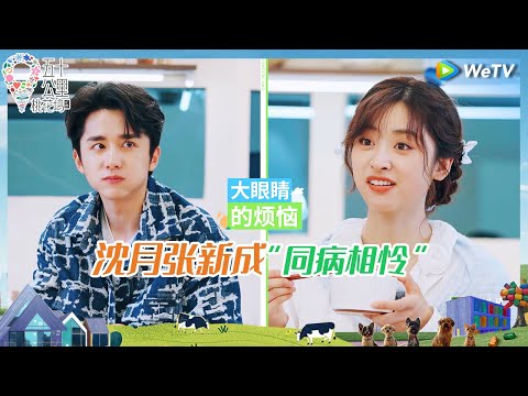【未播花絮】单依纯王星越开股东会 沈月张新成自曝睡觉不闭眼《五十公里桃花坞 第四季》Wonderland S4 EP4 CLIP