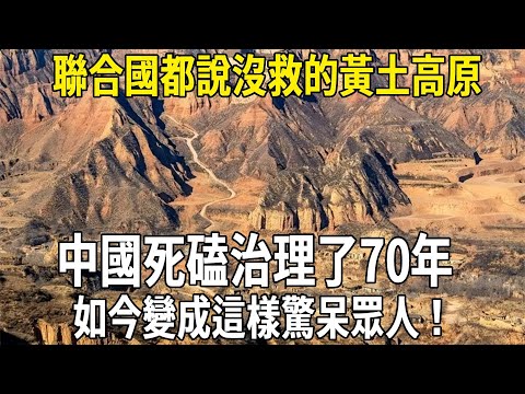 聯合國都說沒救的黃土高原，中國死磕治理了70年，如今變成這樣驚呆眾人！#科普 #熱門 #黃土高原