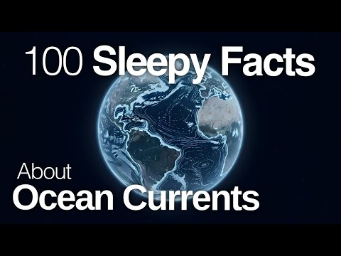 The Most Relaxing Facts About Ocean Currents to Fall Asleep To