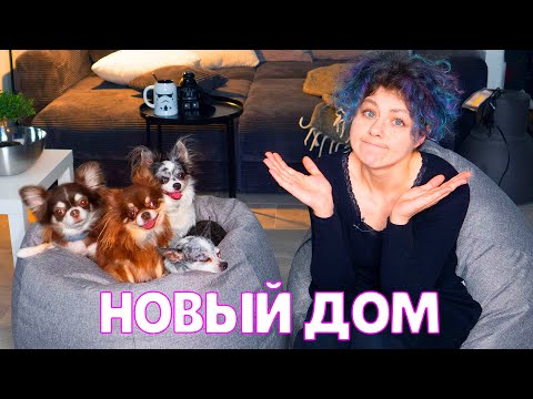 МЫ ПЕРЕЕХАЛИ! Новая квартира, проблемы с собаками, румтур по квартире в Москве