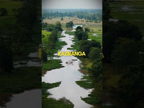 #kaziranga and its forgotten people