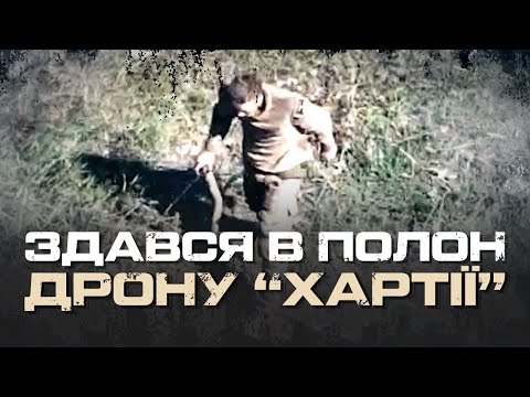 "We won't shoot you"