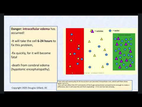 Renin Angiotensin Aldosterone System (RAAS): Part I - Fall25--Board Review