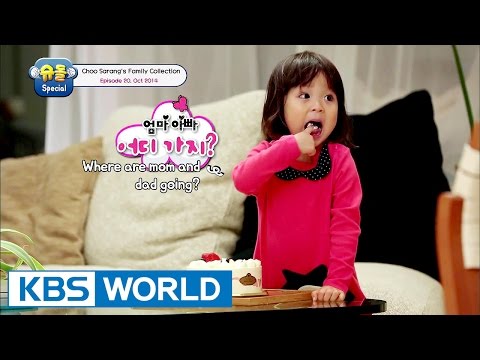 The Return of Superman - Choo Sarang Special Ep.20 [ENG/2017.01.19]