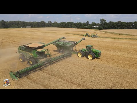 Cutting Wheat & Planting Double Crop Soybeans in Western Kentucky