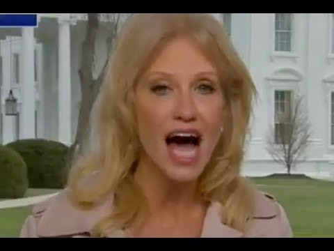 Fox News loses patience with Kellyanne Conway live on air over shutdown