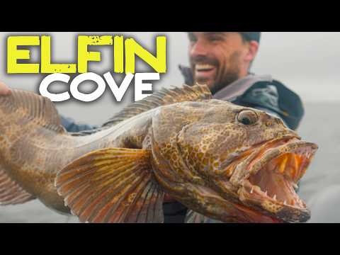 Epic Alaska Fishing Adventure | Halibut, Salmon & Whales in Elfin Cove