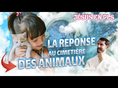 Will animals go to heaven? Investigating the mystery of the pet cemetery