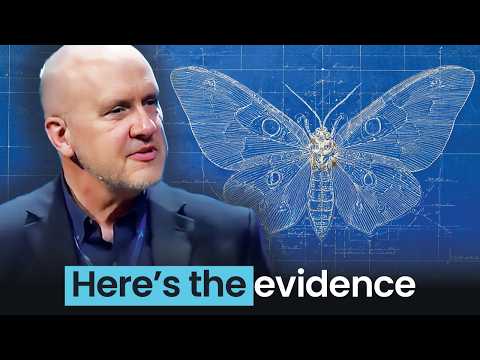 The Butterfly Was Designed