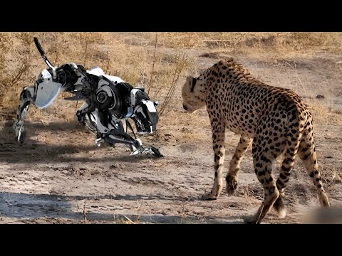 Животные Роботы Этого Года, Которые Взорвут Ваш Мозг