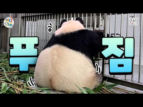 (Video is super long) So many funny moments today lol｜#PandaAndSong #221