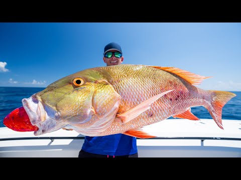 FATAL Truth about Deep Sea Fishing...Catch Clean Cook (Snapper)