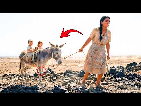 La Humilló Y Le Dio Un Burro — Hoy Él Llora Al Ver En Qué Se Convirtió...