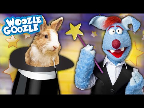 Best Of Magie und Tricks l WOOZLE GOOZLE