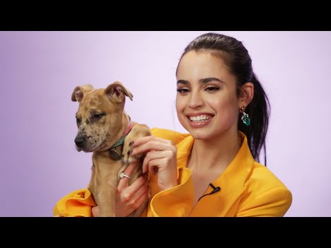 Sofia Carson Plays With Puppies While Answering Fan Questions