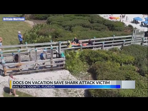 Doctors on vacation help save shark attack victim