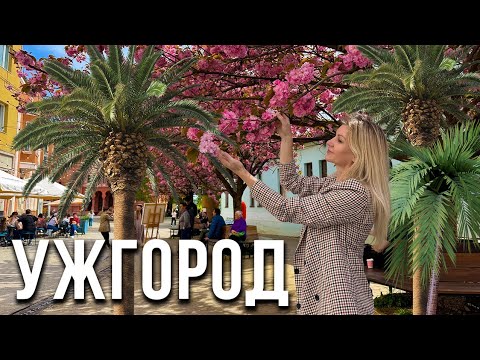 To UZHGOROD in Ukraine for sakura, palm trees and wine. A city that gives you power.