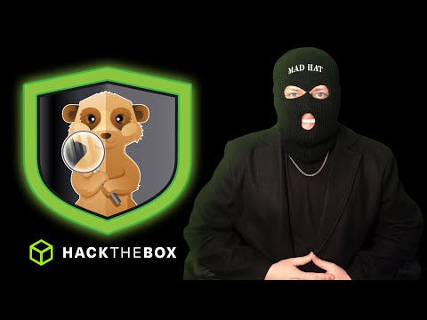 HackTheBox Sherlock Sunday Live | Kali Linux💚Train with Mad Hat💚