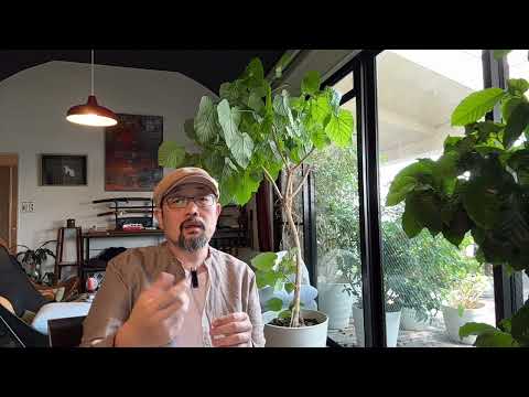 没搂住,聊个长的:天上人间头牌命案、副国级领导人命案——九十年代的治安乱象会重来一次么?|梁海玲|李沛瑶|覃辉|傅政华|王吟秋|戴厚英|严打