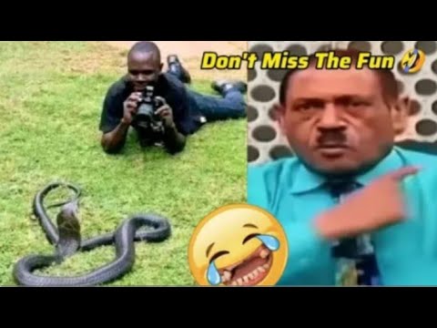 Try Not To Laugh Challenge πππ βΆοΈ LEVEL 41 | Instant Regret Fails | Pranks Compilations 2025
