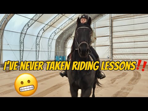 Its Our First Day Back To Work In The Arena & This Is How It Went…!