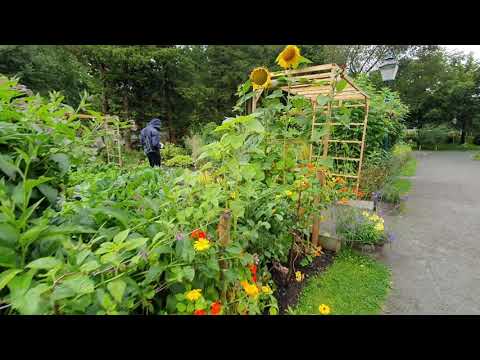 Muséhagen: april vs august