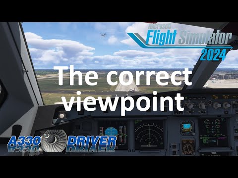 The PROBLEM with default VIEWPOINTS - AND HOW TO FIX THEM | Real Airline Pilot