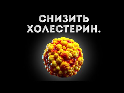 Как я снизил холестерин в 2 раза без таблеток (Личный опыт)