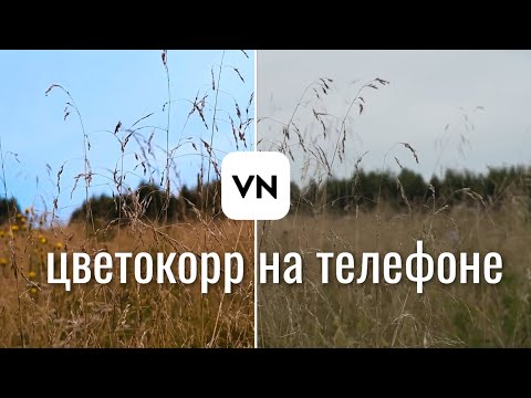 Киношная ЦВЕТОКОРРЕКЦИЯ видео на телефоне. Как улучшить твое ВИДЕО за несколько кликов.