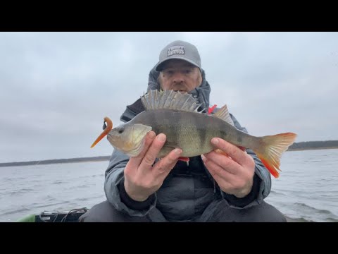 LDF # 465. 16.12.2025