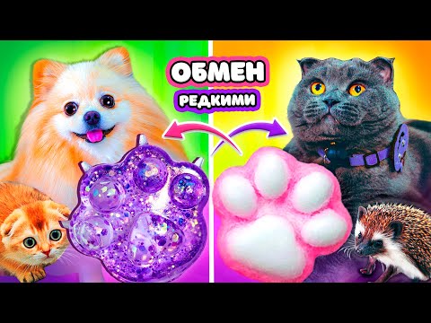 Самые РЕДКИЕ ТАБА ЛАПКИ | Питомцы Меняются Редкими ТАБА ЛАПКАМИ - ДЕШЕВО vs ДОРОГО