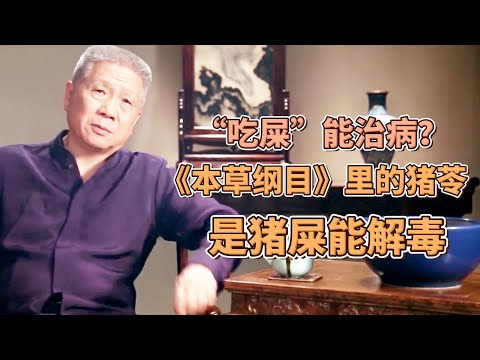 “吃屎”也能治病？《本草綱目》裏的豬苓就是豬屎，能解大毒  #圓桌派#窦文涛#观复嘟嘟#马未都