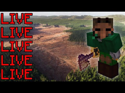 straight up grinding "it" (Hypixel Skyblock)