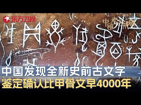 重大突破！我国发现迄今最早文字, 鉴定后证实比甲骨文还早4000年！汉字源头推溯至7000年前？#中国考古报道 FULL